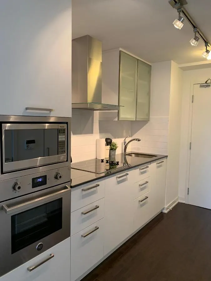 Apartment Lavish Suites - New One Bedroom Condo - Cn Tower Toronto